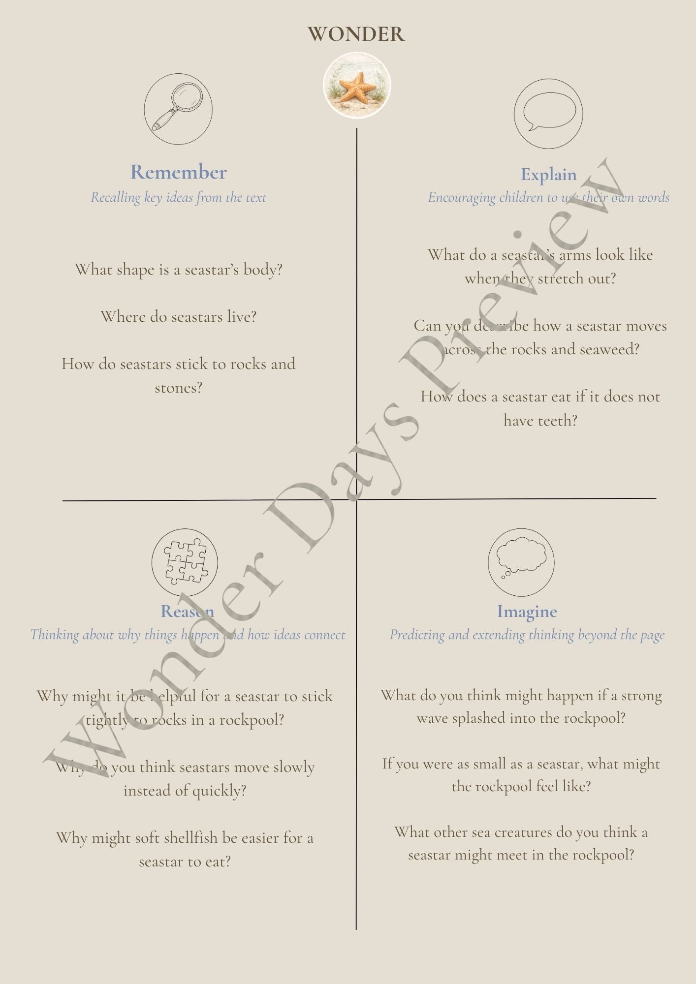 Rockpool Treasures (Knowledge Collection) | Digital Product