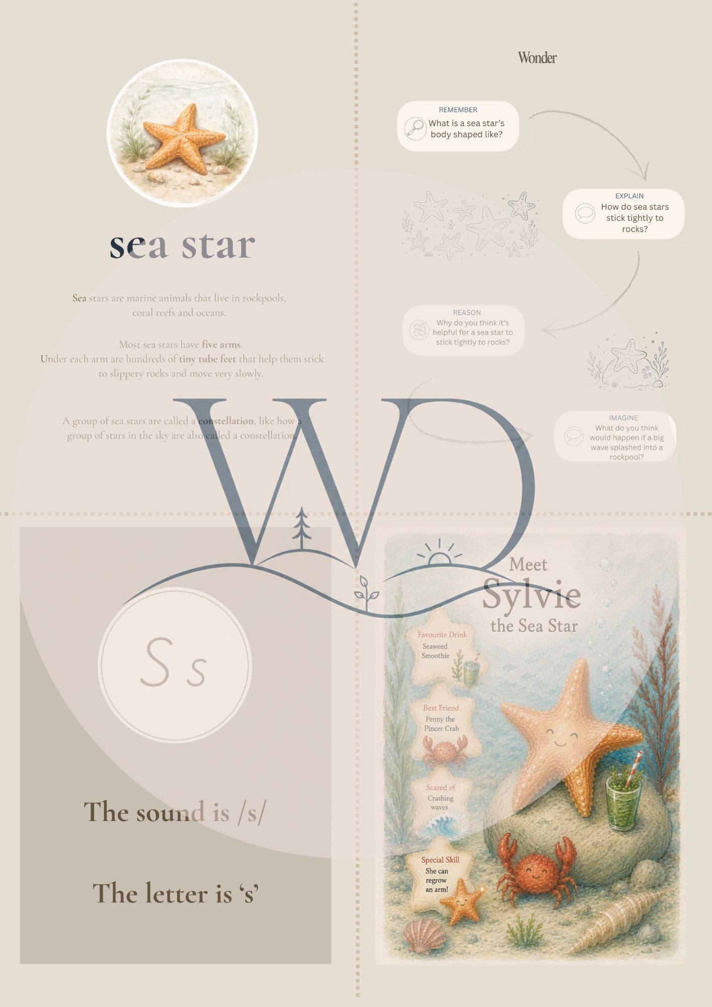 By the Seashore Discovery Collection | Digital Product