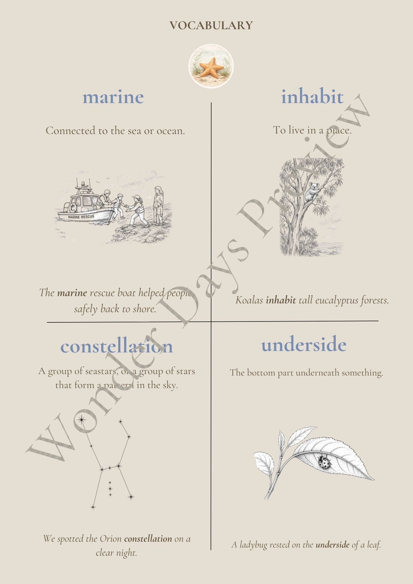 Rockpool Treasures (Knowledge Collection) | Digital Product