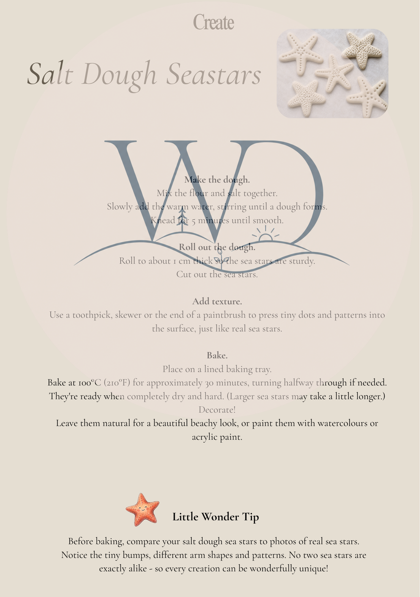 Seastar Discovery Collection | Digital Product