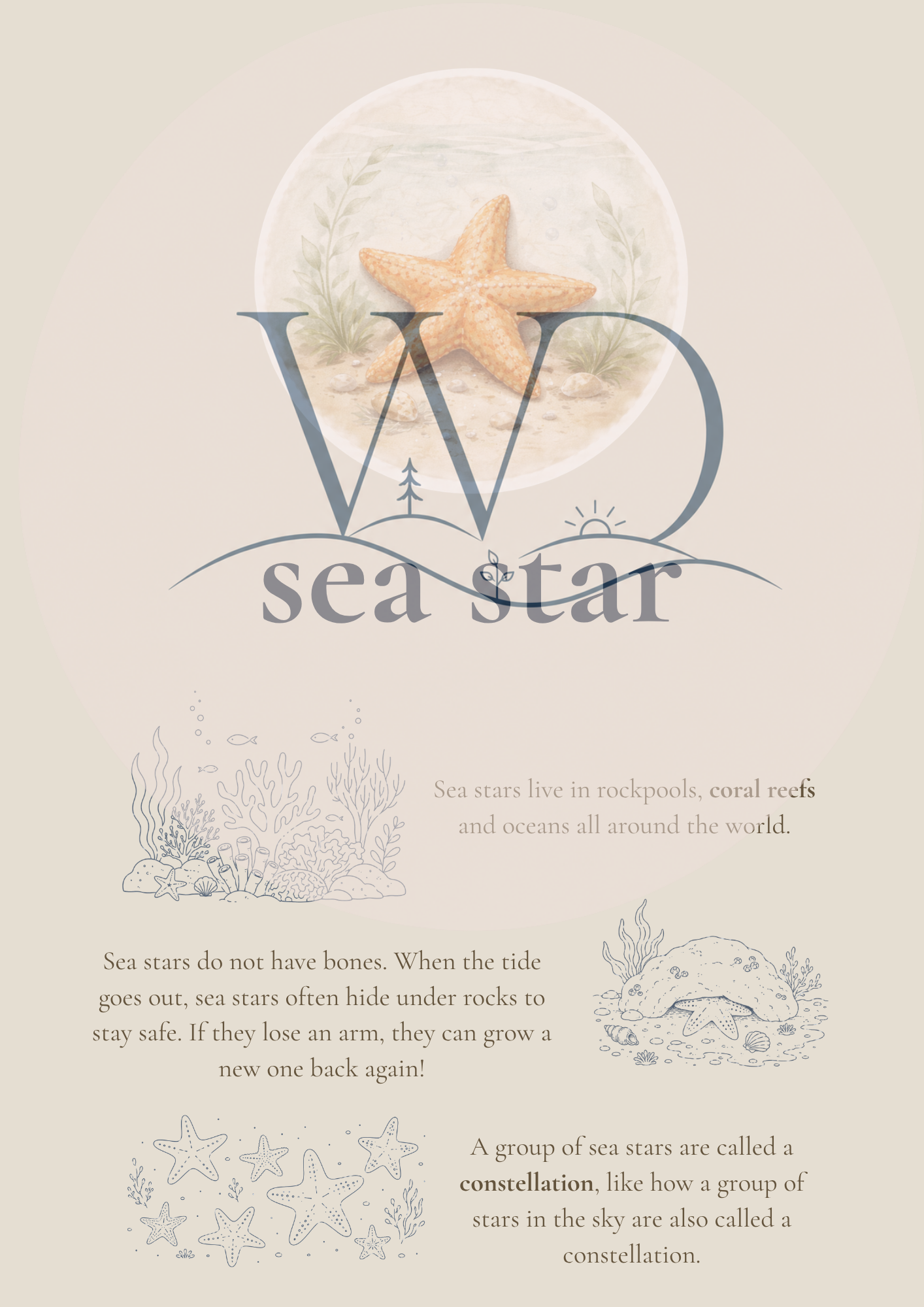 Nori the Nudibranch + By the Seashore Knowledge Collection | Digital Product