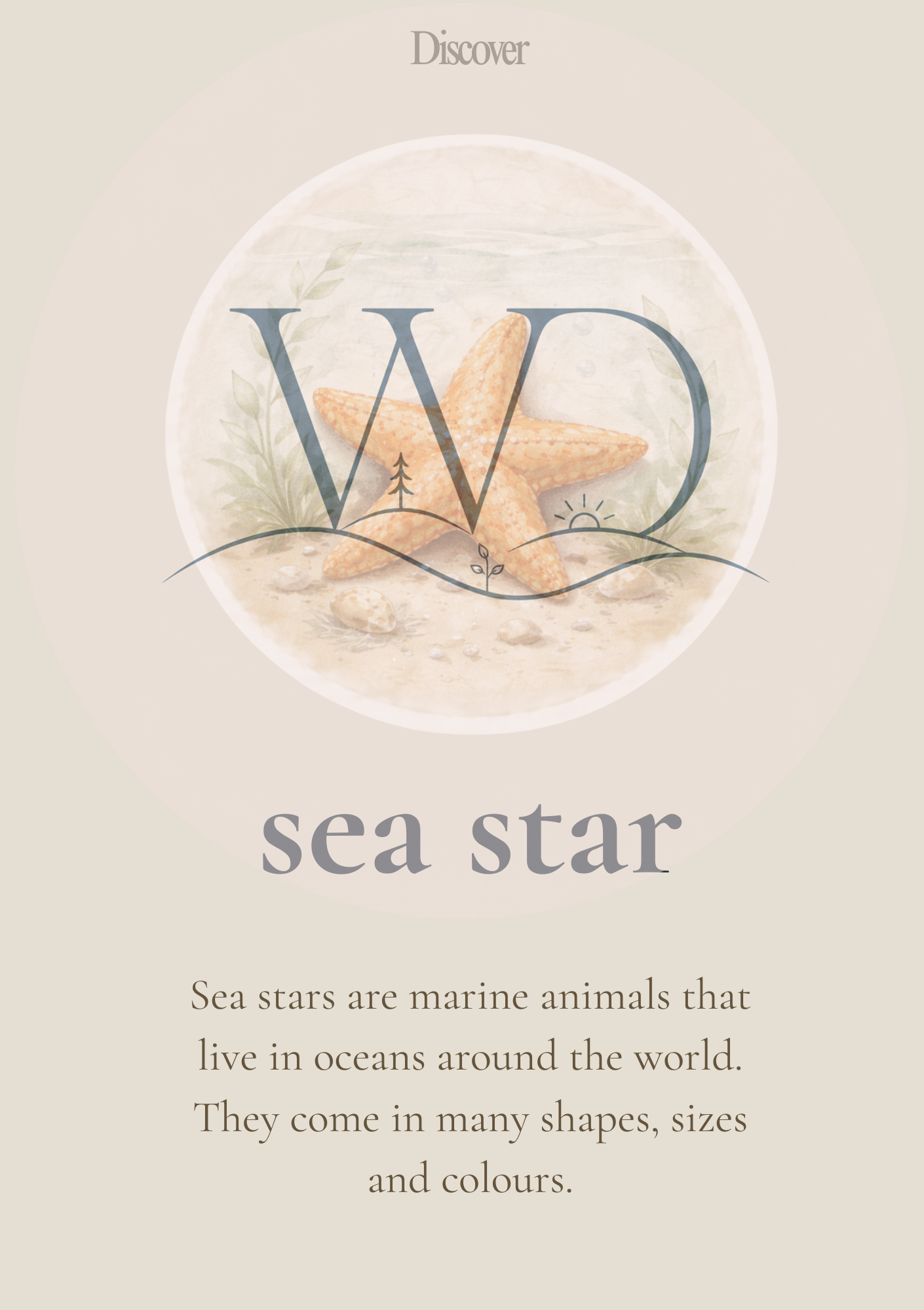 Seastar Discovery Collection | Digital Product
