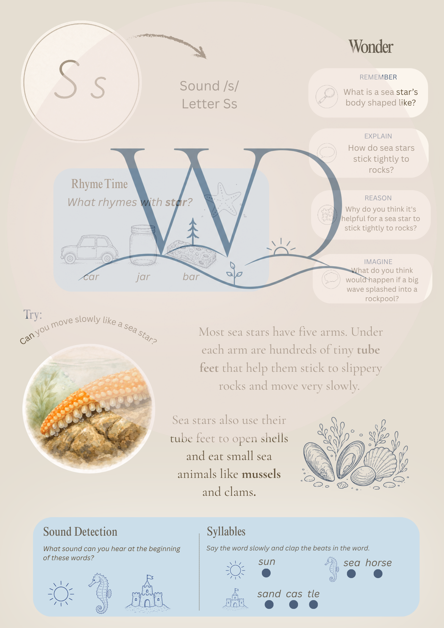 Nori the Nudibranch + By the Seashore Knowledge Collection | Digital Product