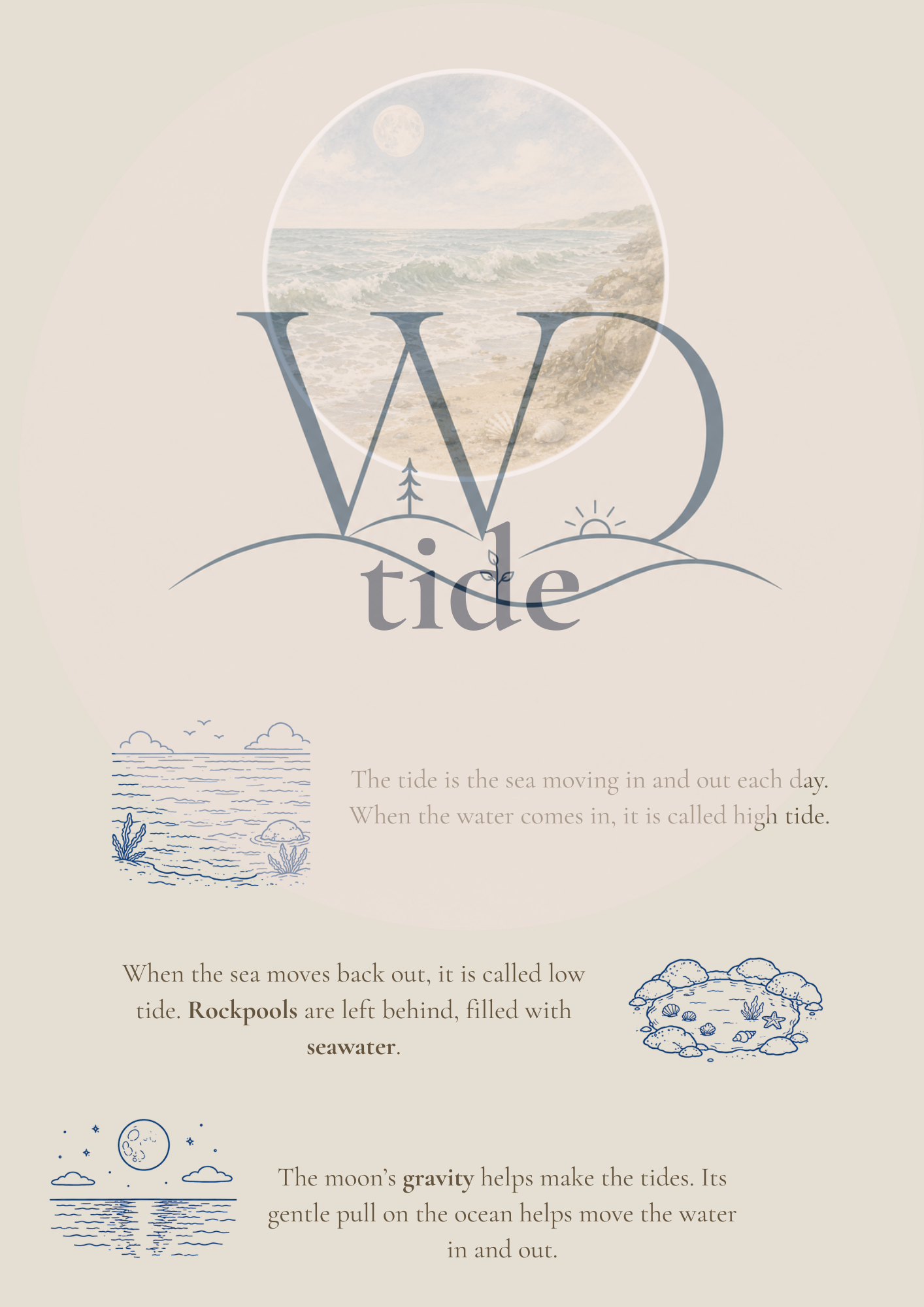 Nori the Nudibranch + By the Seashore Knowledge Collection | Digital Product