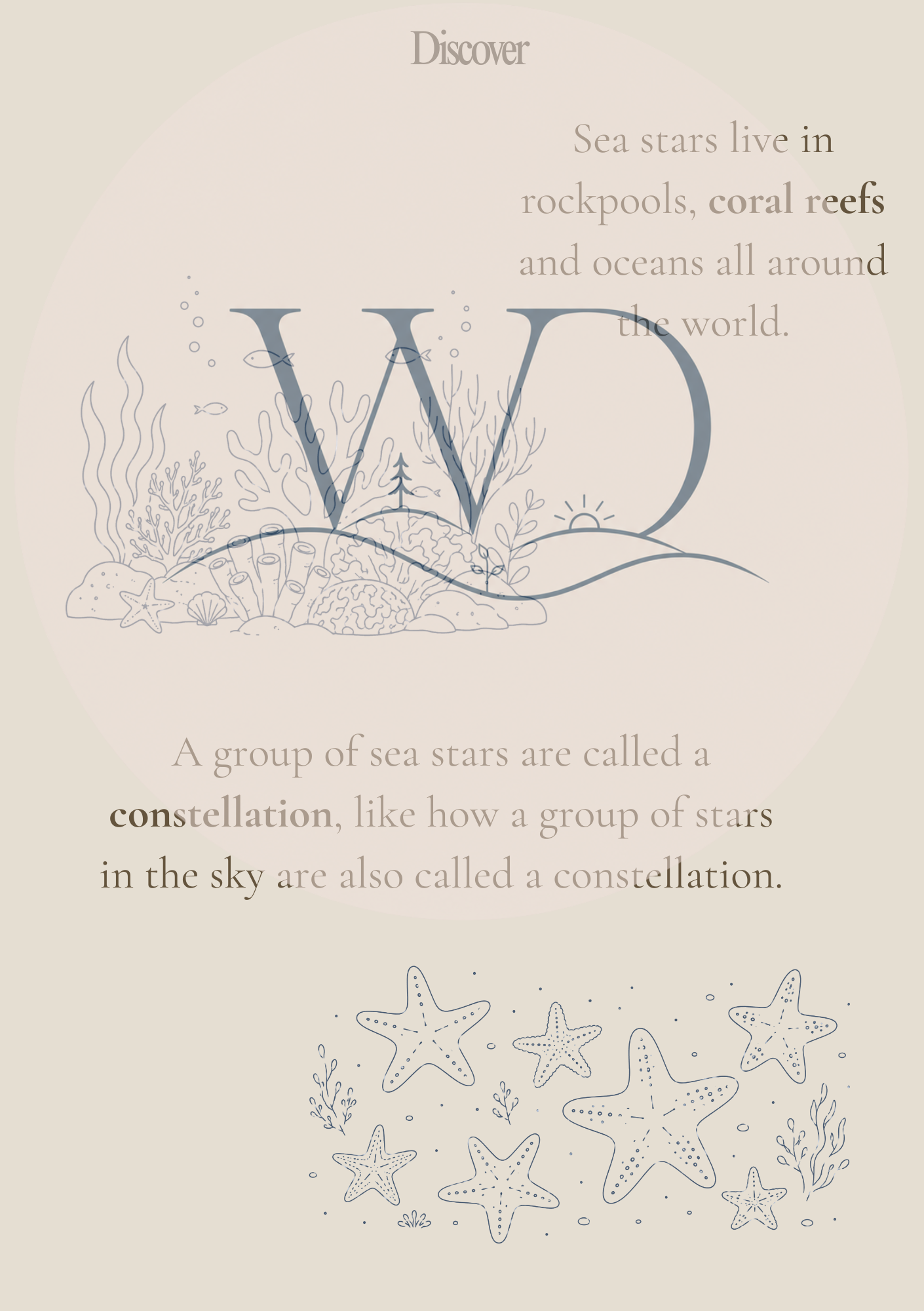 Seastar Discovery Collection | Digital Product