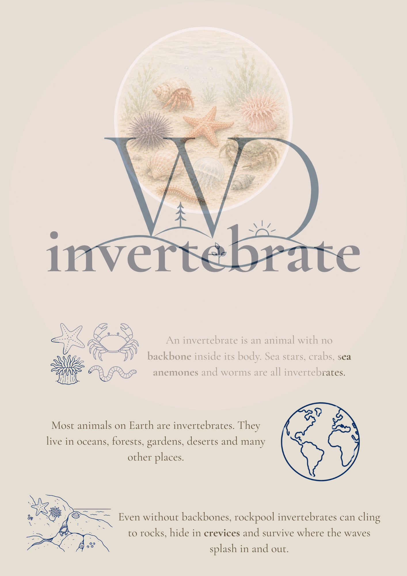 Nori the Nudibranch + By the Seashore Knowledge Collection | Digital Product