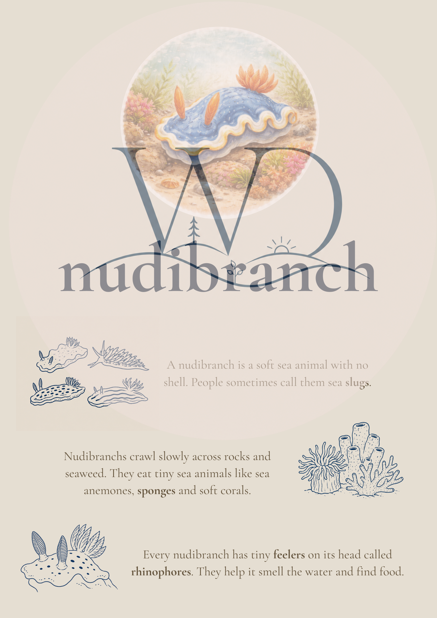 Nori the Nudibranch + By the Seashore Knowledge Collection | Digital Product