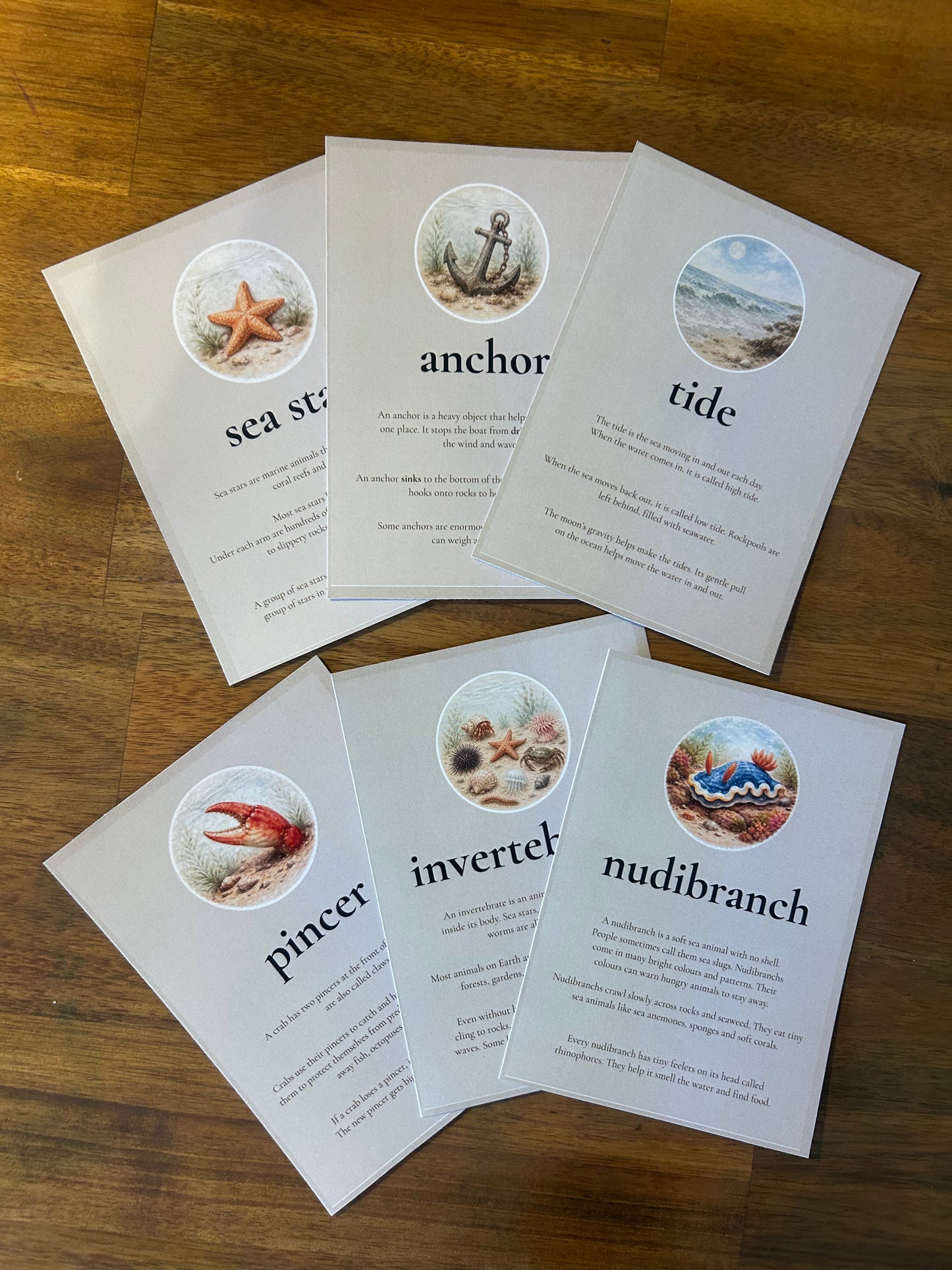 By the Seashore Wonder Cards | Digital Product