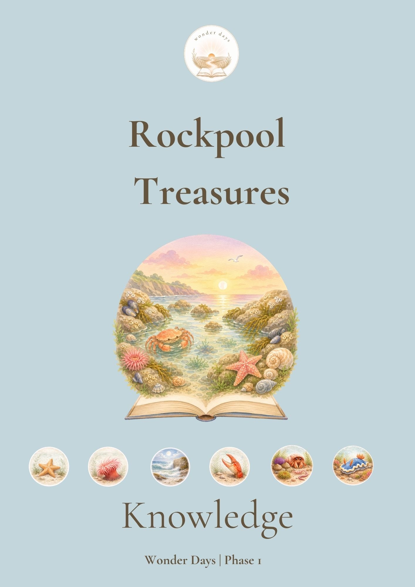 Rockpool Treasures (Knowledge Collection) | Digital Product