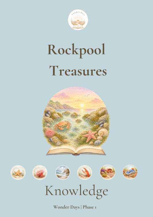 Rockpool Treasures (Knowledge Collection) | Digital Product
